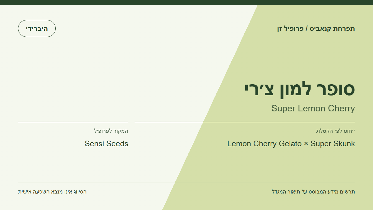 תרשים פרופיל הזן סופר למון צ׳רי לפי קטלוג המגדל
