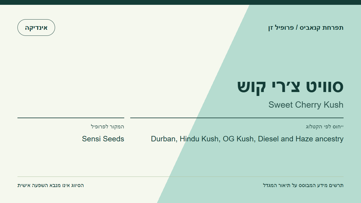 תרשים פרופיל הזן סוויט צ׳רי קוש לפי קטלוג המגדל