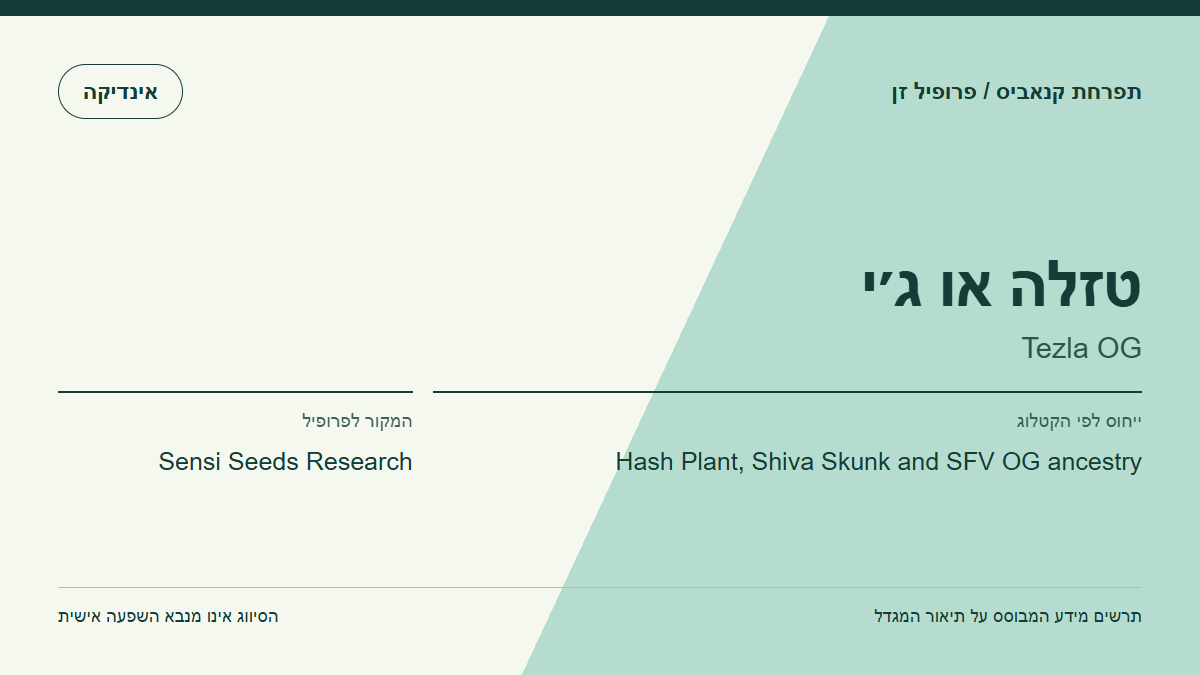 תרשים פרופיל הזן טזלה או ג׳י לפי קטלוג המגדל