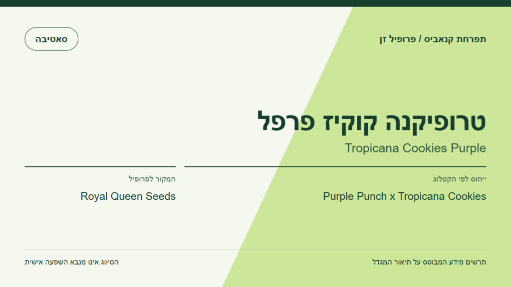 תרשים פרופיל הזן טרופיקנה קוקיז פרפל לפי קטלוג המגדל