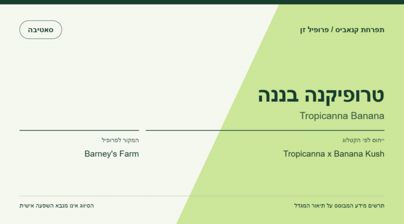 תרשים פרופיל הזן טרופיקנה בננה לפי קטלוג המגדל