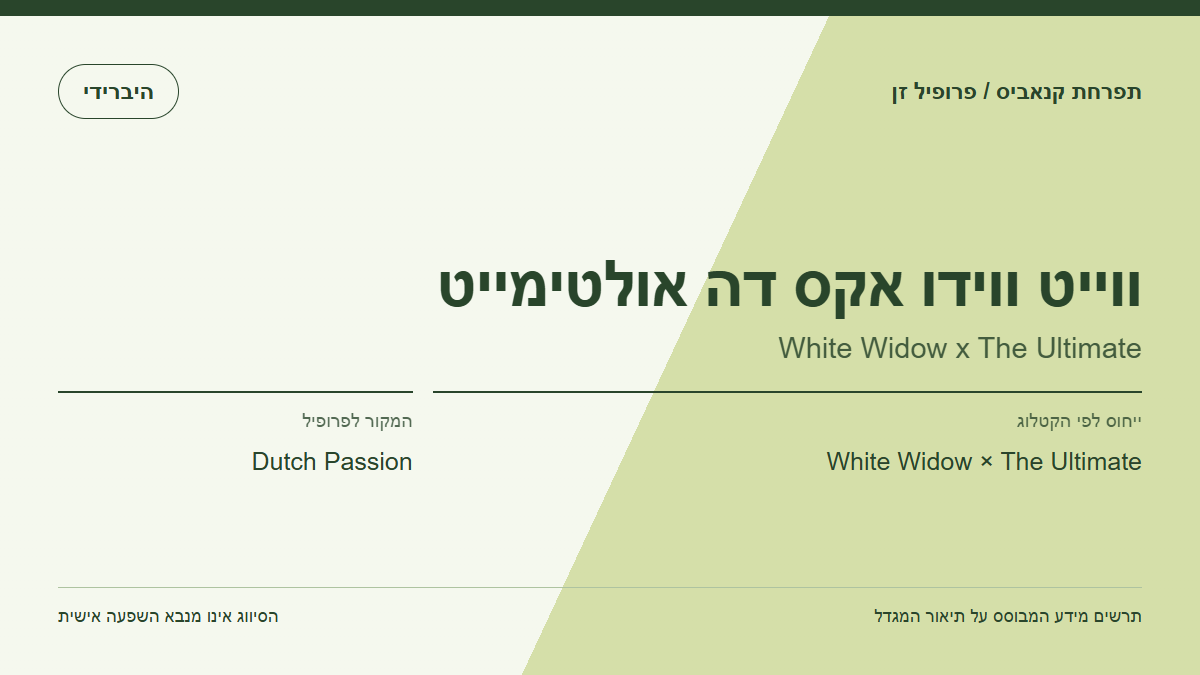 תרשים פרופיל הזן ווייט ווידו אקס דה אולטימייט לפי קטלוג המגדל